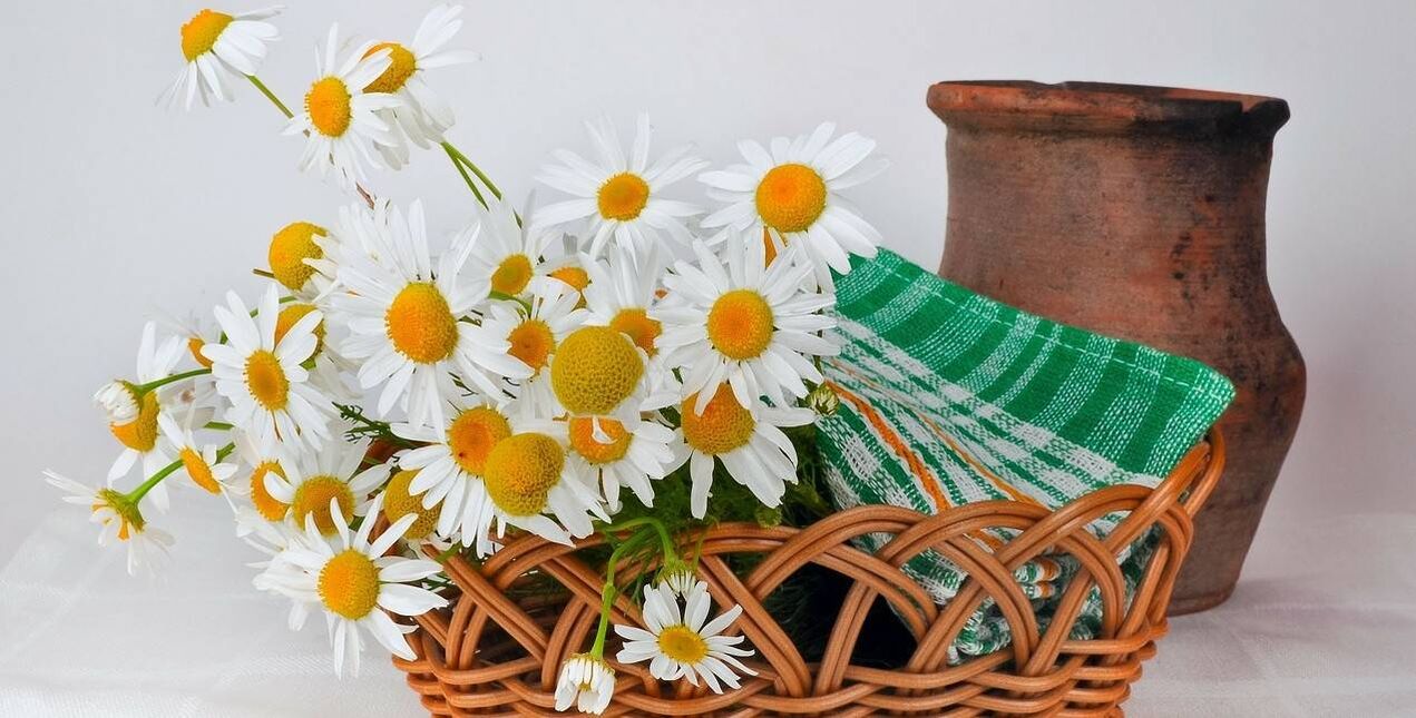 paano gumawa ng face toner mula sa mga bulaklak ng chamomile